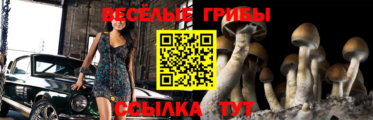 что такое наркотик  Вход с VPN  Назарово  Псилоцибиновые грибы Cubensis 
